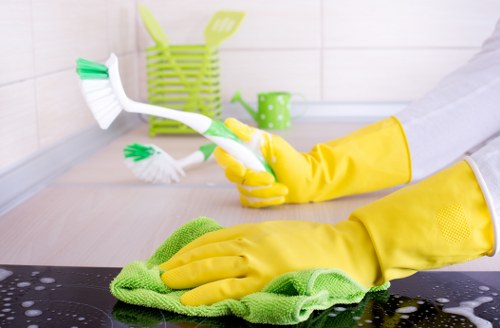 Decorative image representing WCAG-friendly website content for carpet cleaners