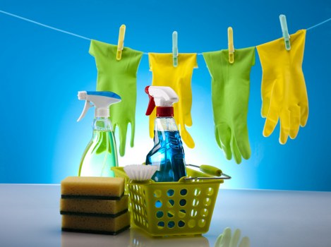 Cleaning service access, timing, and customer preparation information